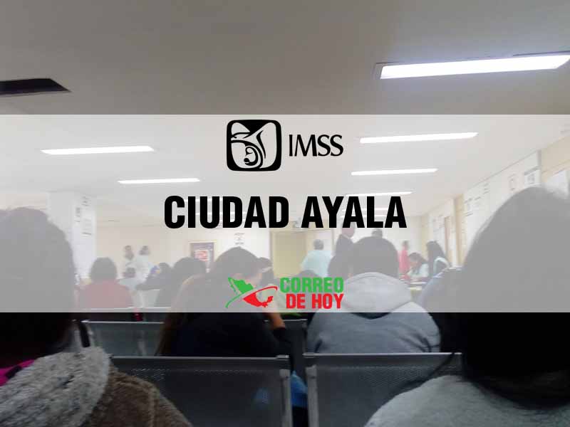 Clnicas IMSS en Ciudad Ayala Mor - Telfono, Direccin y Horario de Atencin