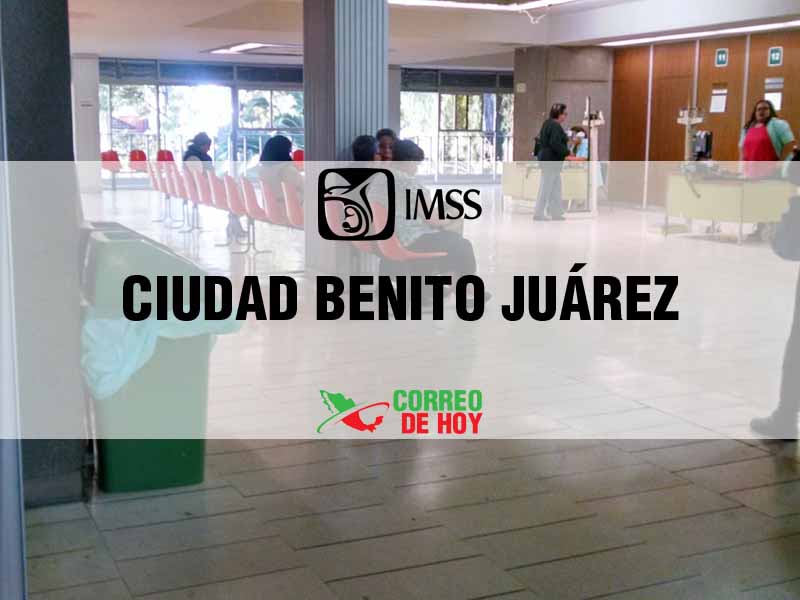 Clnicas IMSS en Ciudad Benito Juárez NL - Telfono, Direccin y Horario de Atencin
