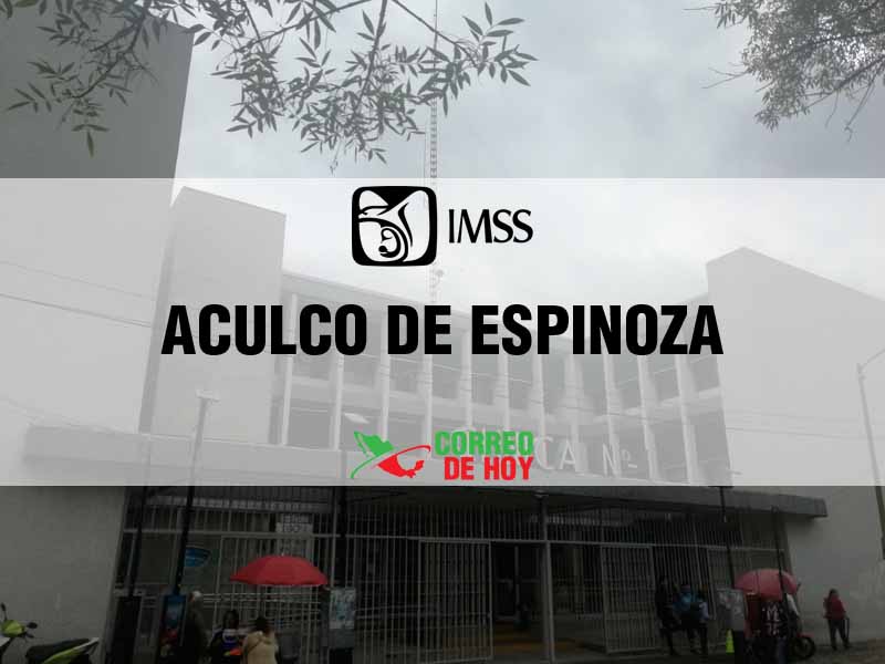 Cl�nicas IMSS en Aculco de Espinoza EdoMex - Tel�fono, Direcci�n y Horario de Atenci�n
