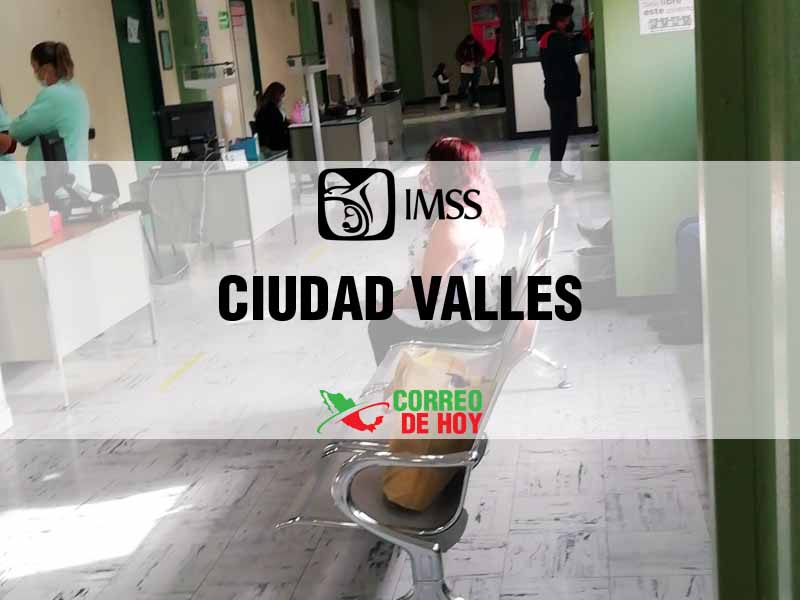 Clnicas IMSS en Ciudad Valles SLP - Telfono, Direccin y Horario de Atencin