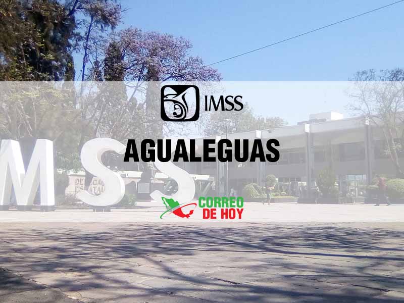 Clnicas IMSS en Agualeguas NL - Telfono, Direccin y Horario de Atencin