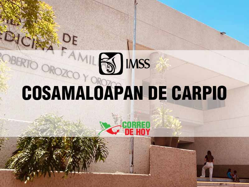 Clnicas IMSS en Cosamaloapan de Carpio Ver - Telfono, Direccin y Horario de Atencin