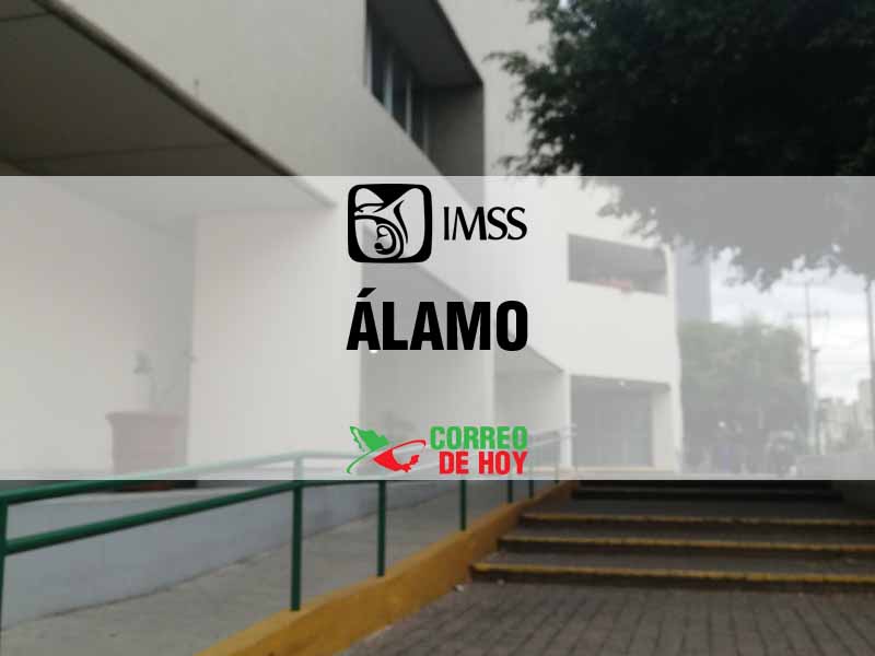 Clnicas IMSS en Álamo Ver - Telfono, Direccin y Horario de Atencin