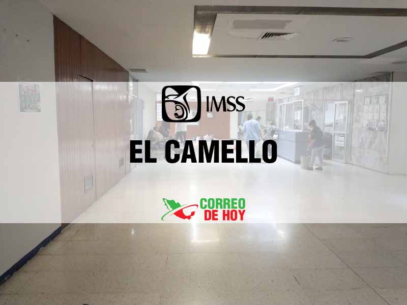 Clnicas IMSS en El Camello Chih - Telfono, Direccin y Horario de Atencin