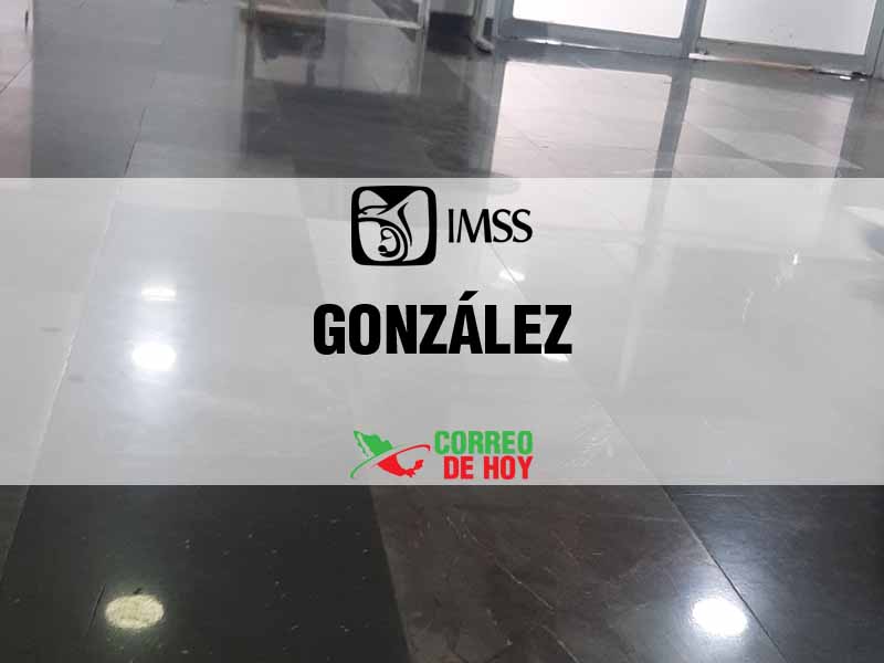 Clnicas IMSS en González Tamps - Telfono, Direccin y Horario de Atencin