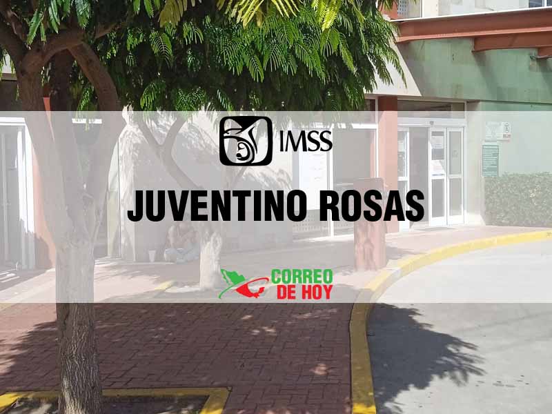 Clnicas IMSS en Juventino Rosas Gto - Telfono, Direccin y Horario de Atencin