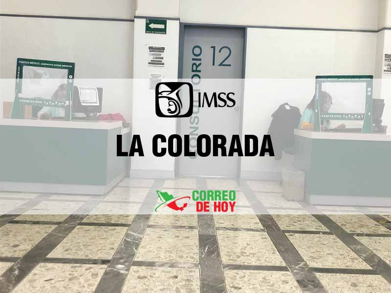 Clnicas IMSS en La Colorada Zac - Telfono, Direccin y Horario de Atencin