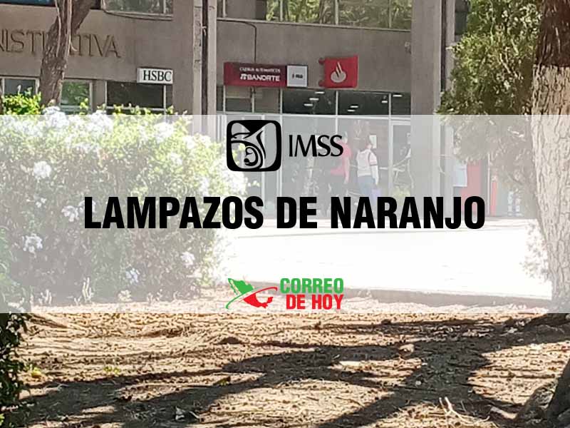 Clnicas IMSS en Lampazos de Naranjo NL - Telfono, Direccin y Horario de Atencin