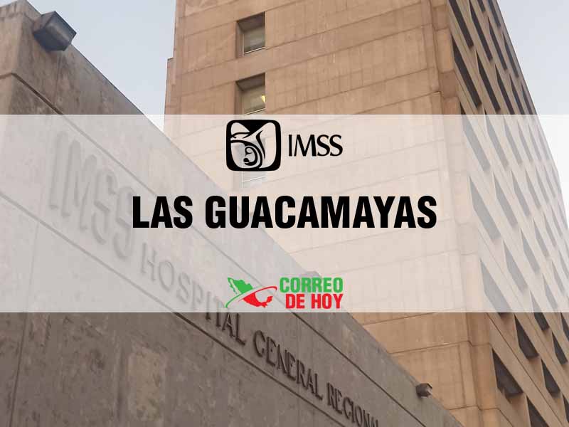 Clnicas IMSS en Las Guacamayas Mich - Telfono, Direccin y Horario de Atencin