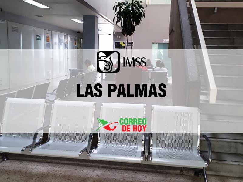 Clnicas IMSS en Las Palmas Ver - Telfono, Direccin y Horario de Atencin