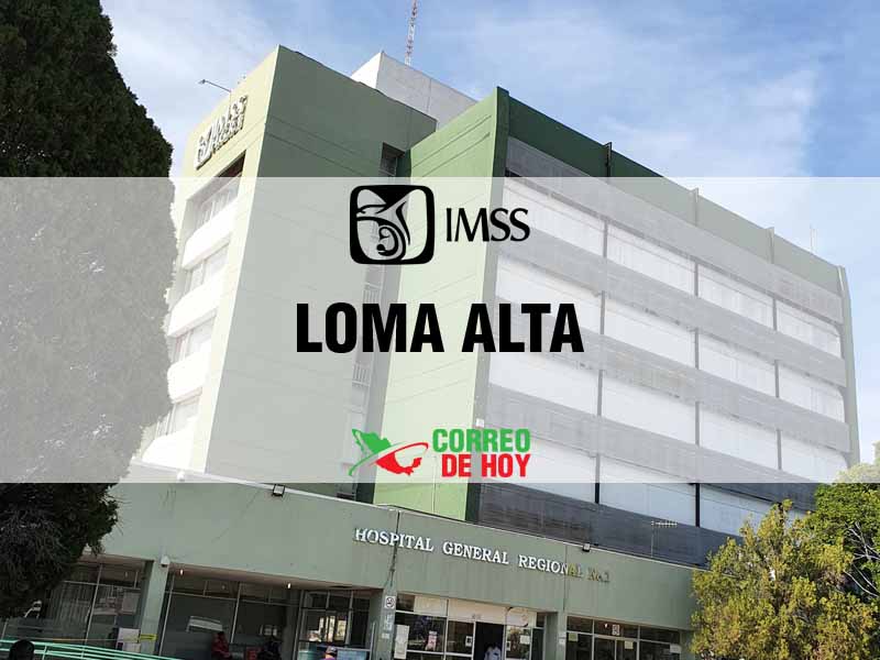 Clnicas IMSS en Loma Alta Tamps - Telfono, Direccin y Horario de Atencin