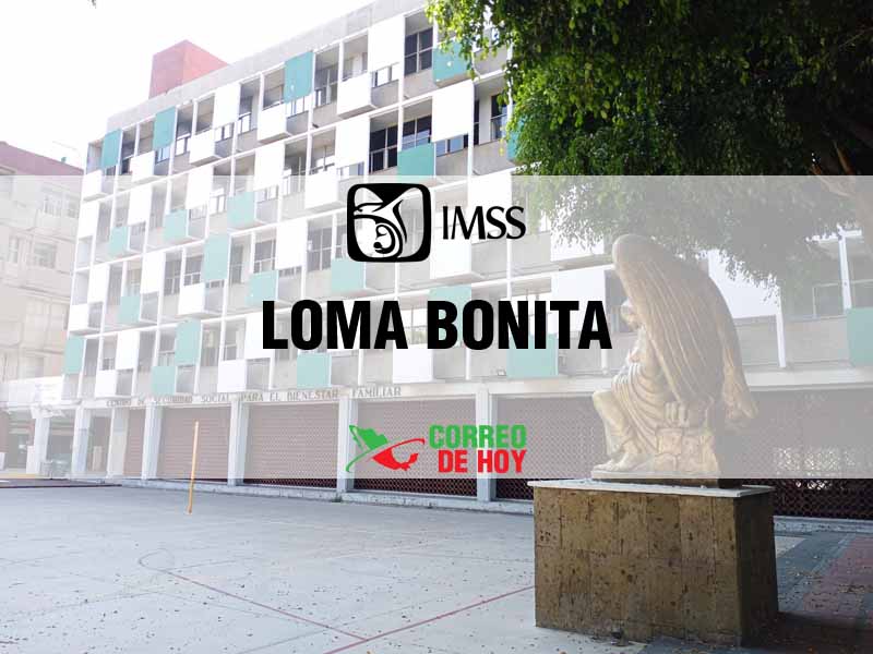 Clnicas IMSS en Loma Bonita Oax - Telfono, Direccin y Horario de Atencin