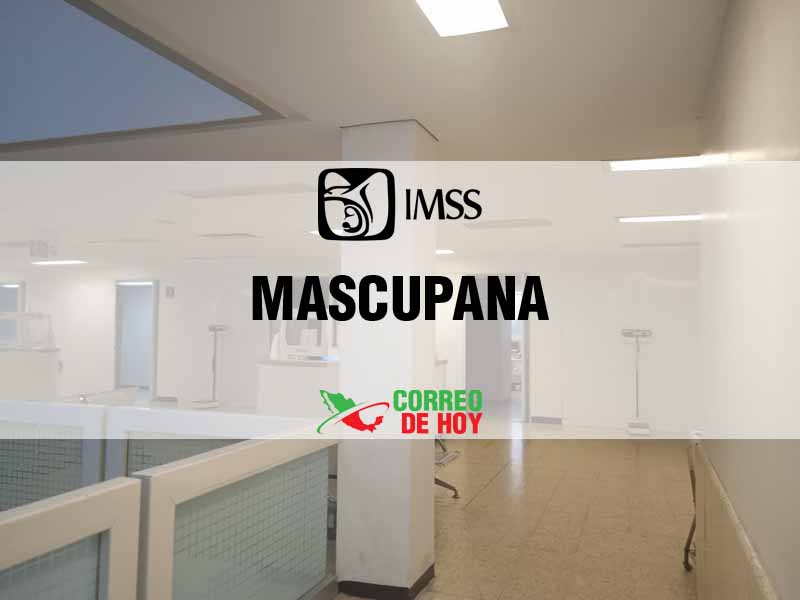 Clnicas IMSS en Mascupana Tab - Telfono, Direccin y Horario de Atencin