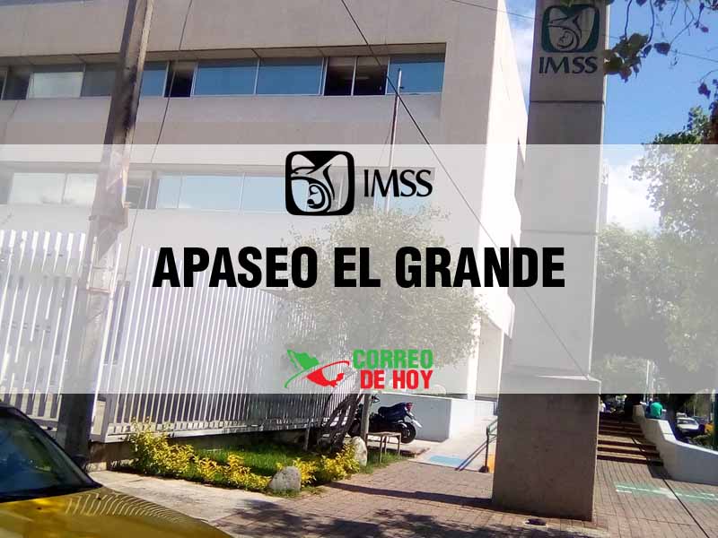 Clnicas IMSS en Apaseo El Grande Gto - Telfono, Direccin y Horario de Atencin