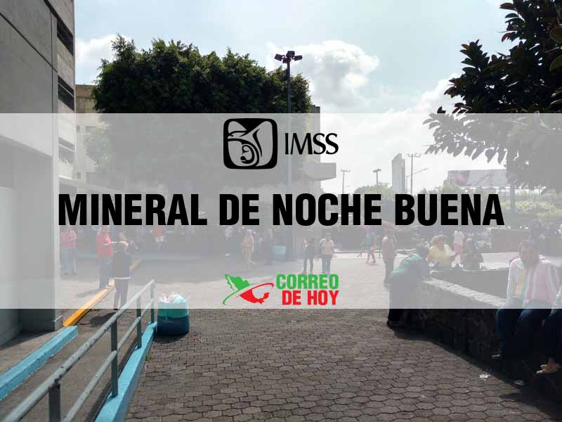 Clnicas IMSS en Mineral De Noche Buena Zac - Telfono, Direccin y Horario de Atencin