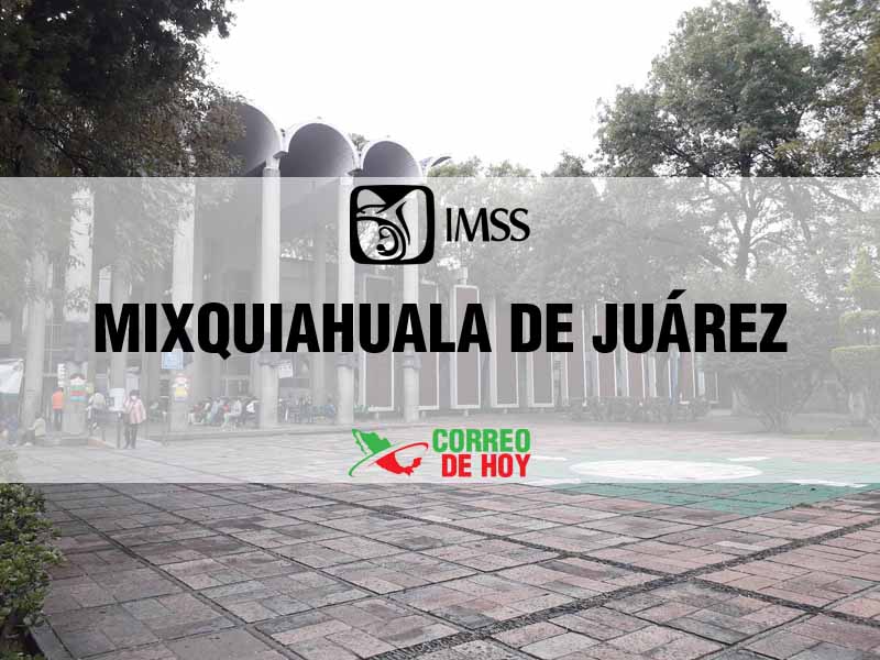 Clnicas IMSS en Mixquiahuala de Juárez Hgo - Telfono, Direccin y Horario de Atencin