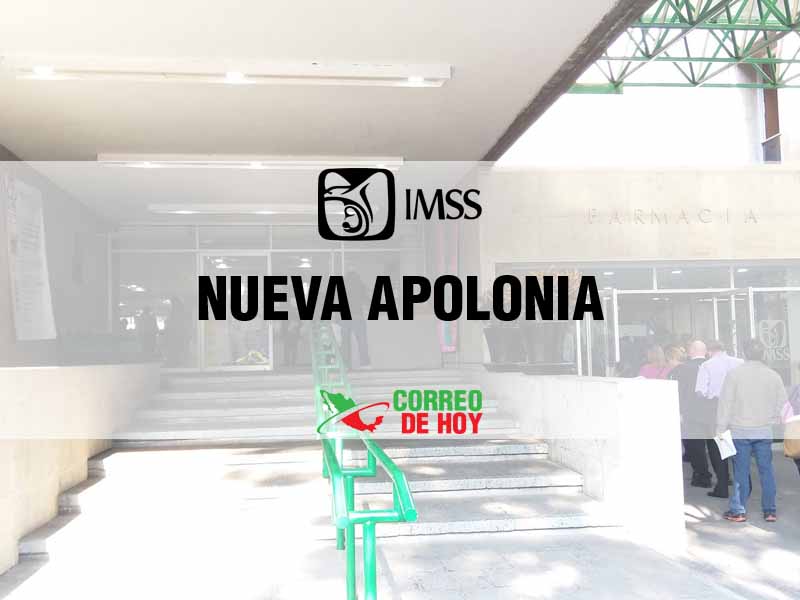 Clnicas IMSS en Nueva Apolonia Tamps - Telfono, Direccin y Horario de Atencin