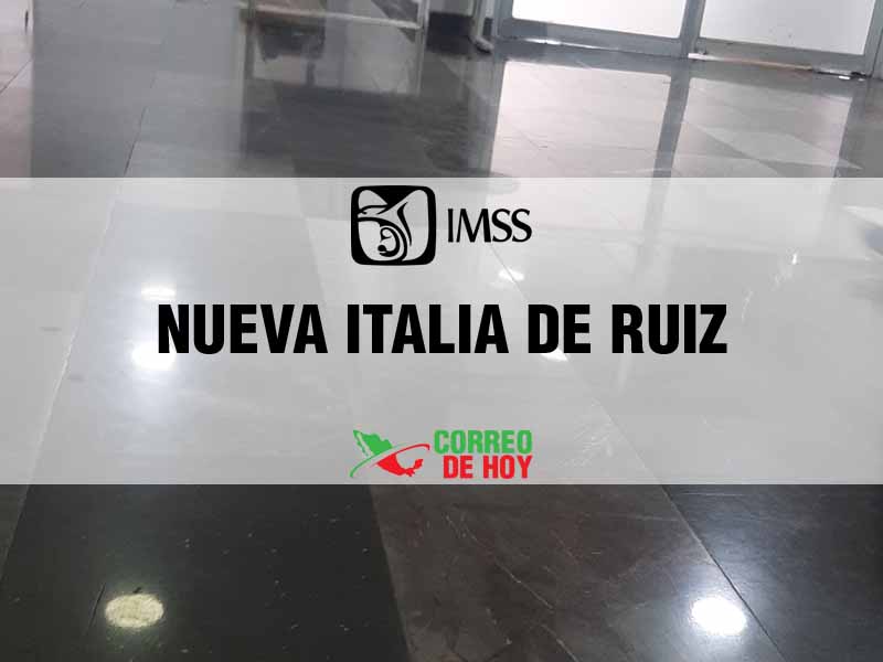 Cl�nicas IMSS en Nueva Italia de Ruiz Mich - Tel�fono, Direcci�n y Horario de Atenci�n