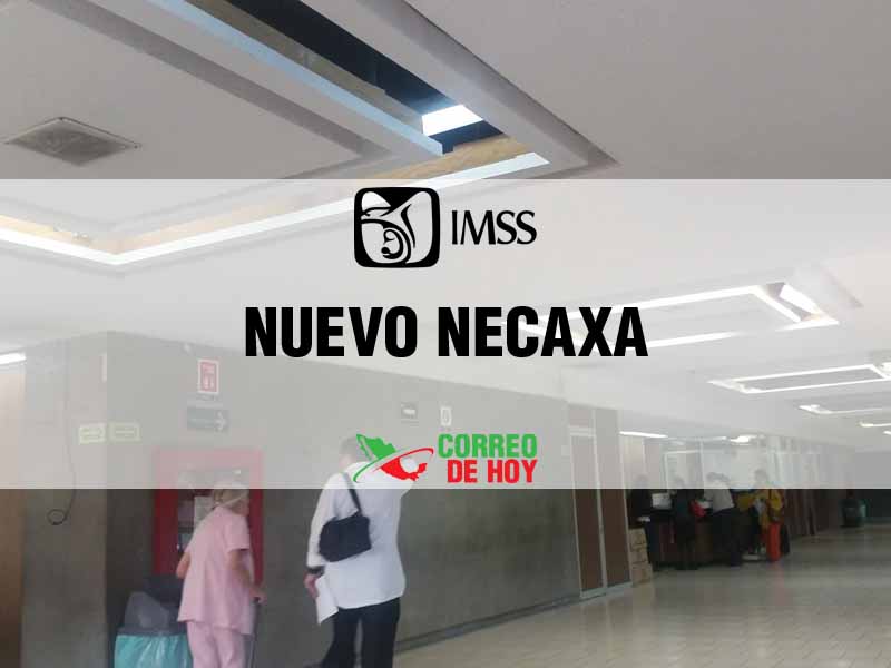 Clnicas IMSS en Nuevo Necaxa Pue - Telfono, Direccin y Horario de Atencin