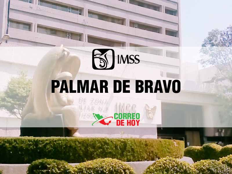 Clnicas IMSS en Palmar De Bravo Pue - Telfono, Direccin y Horario de Atencin