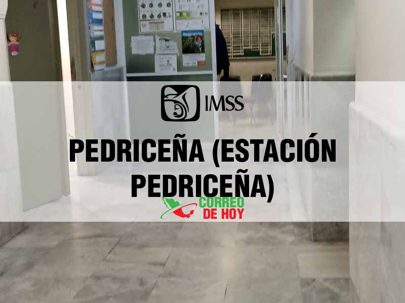 Clnicas IMSS en Pedriceña (Estación Pedriceña) Dgo - Telfono, Direccin y Horario de Atencin