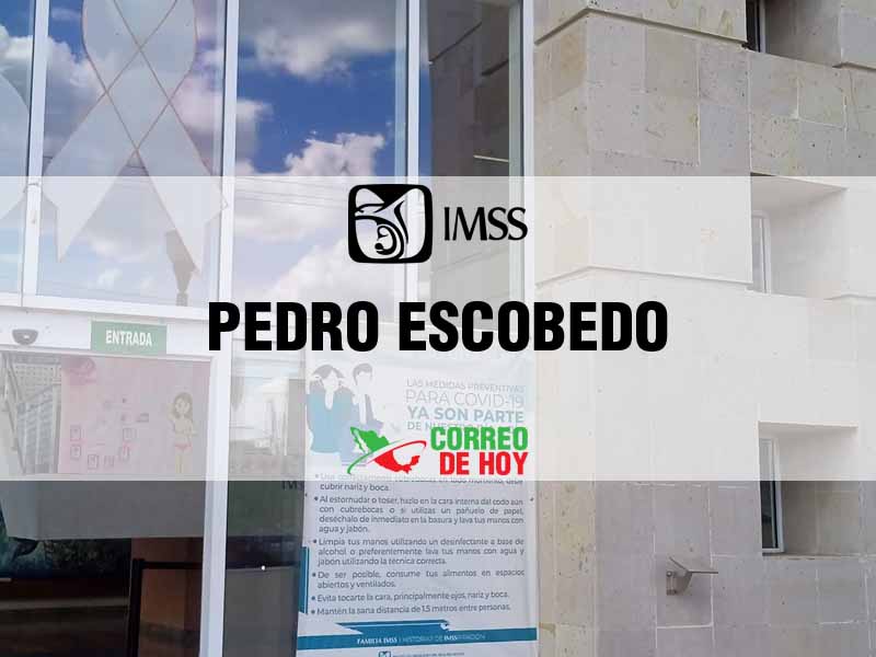 Clnicas IMSS en Pedro Escobedo Qro - Telfono, Direccin y Horario de Atencin