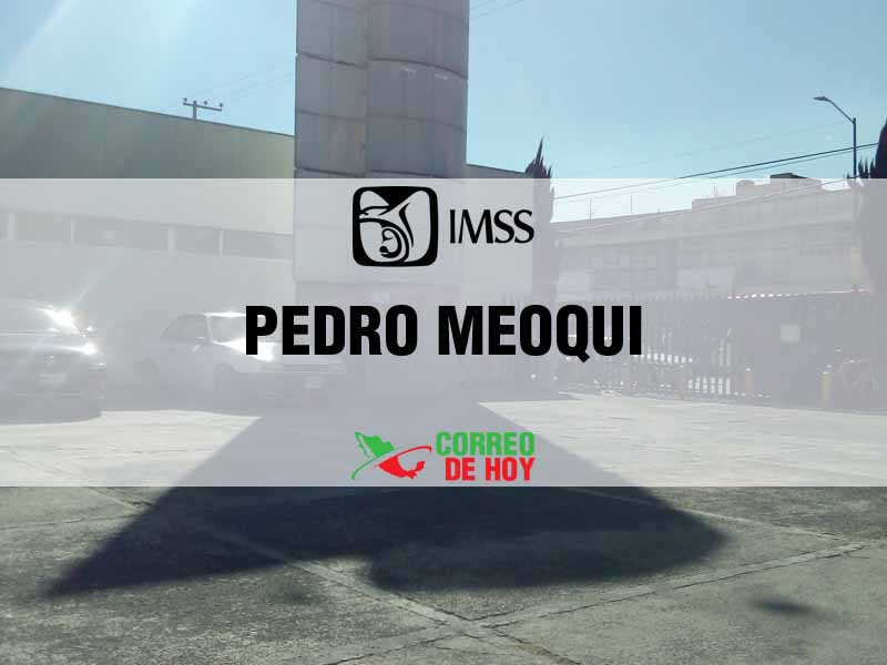 Clnicas IMSS en Pedro Meoqui Chih - Telfono, Direccin y Horario de Atencin