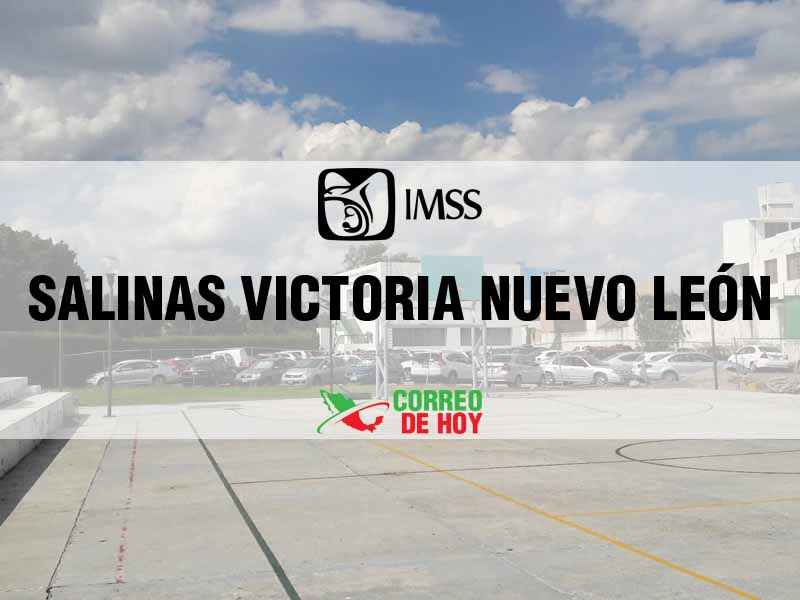 Clnicas IMSS en Salinas Victoria Nuevo León NL - Telfono, Direccin y Horario de Atencin