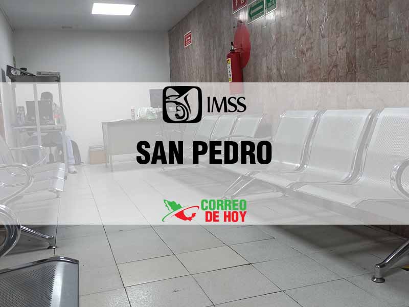 Clnicas IMSS en San Pedro Son - Telfono, Direccin y Horario de Atencin