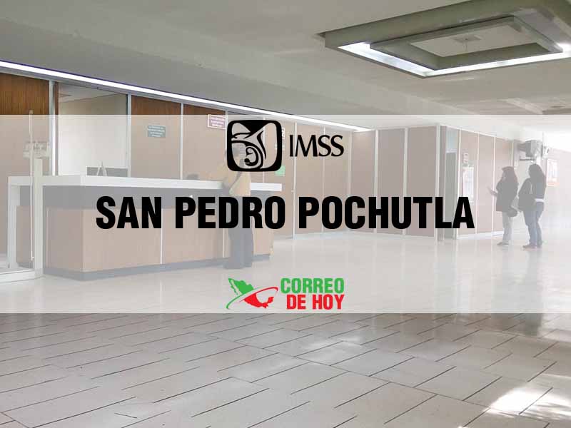 Clnicas IMSS en San Pedro Pochutla Oax - Telfono, Direccin y Horario de Atencin