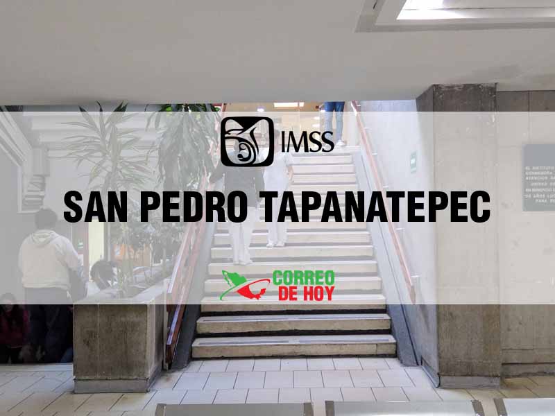 Clnicas IMSS en San Pedro Tapanatepec Oax - Telfono, Direccin y Horario de Atencin