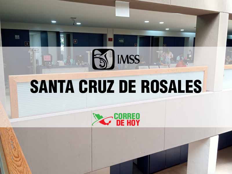 Clnicas IMSS en Santa Cruz de Rosales Chih - Telfono, Direccin y Horario de Atencin