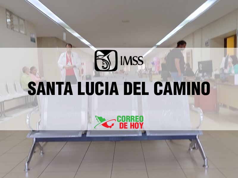 Clnicas IMSS en Santa Lucia del Camino Oax - Telfono, Direccin y Horario de Atencin