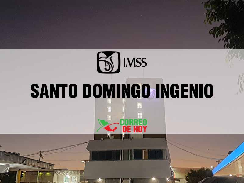 Clnicas IMSS en Santo Domingo Ingenio Oax - Telfono, Direccin y Horario de Atencin