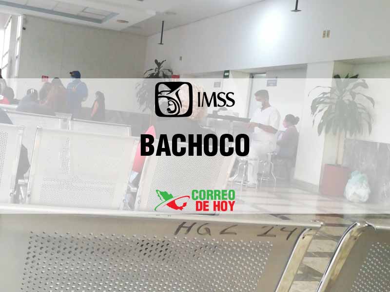 Clnicas IMSS en Bachoco Sin - Telfono, Direccin y Horario de Atencin