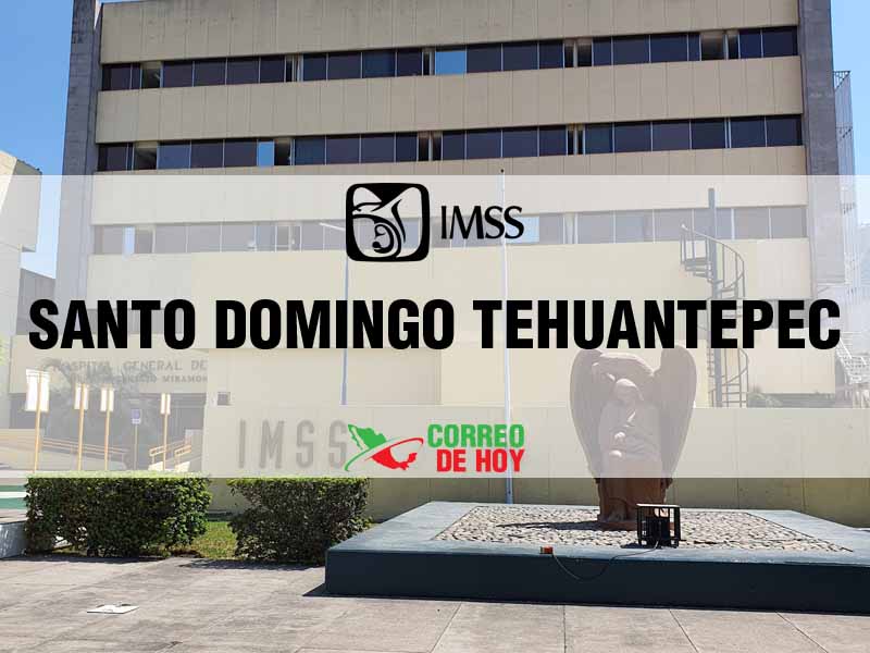 Clnicas IMSS en Santo Domingo Tehuantepec Oax - Telfono, Direccin y Horario de Atencin