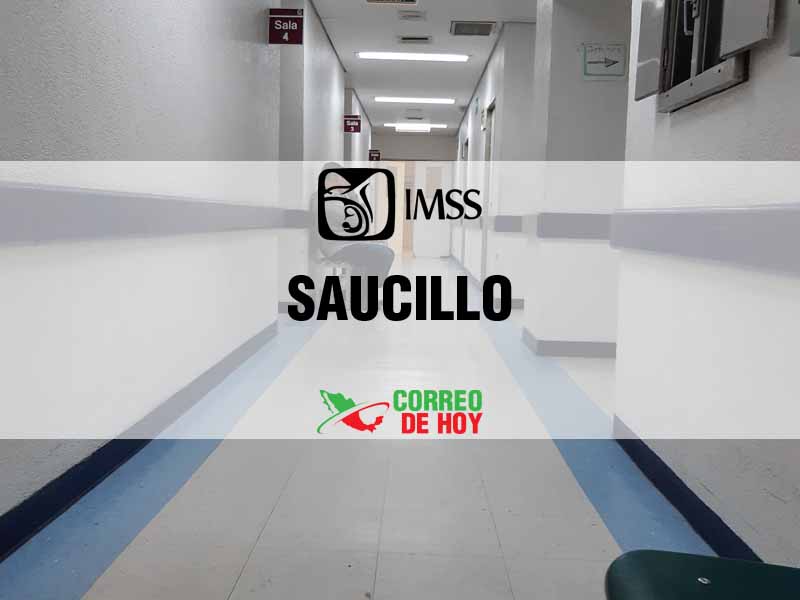 Clnicas IMSS en Saucillo Chih - Telfono, Direccin y Horario de Atencin