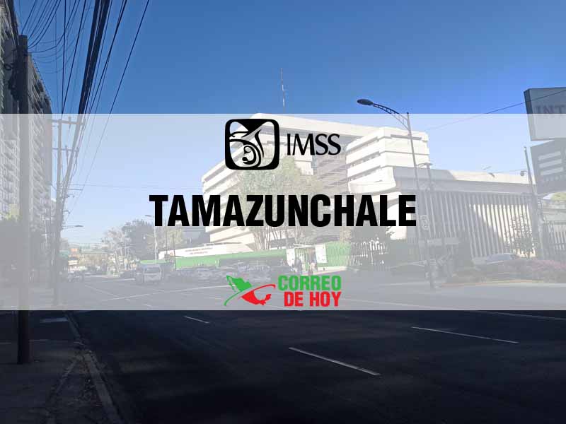 Clnicas IMSS en Tamazunchale SLP - Telfono, Direccin y Horario de Atencin