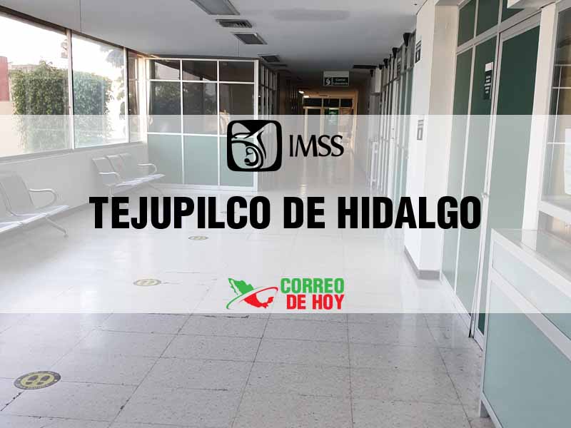 Clnicas IMSS en Tejupilco de Hidalgo EdoMex - Telfono, Direccin y Horario de Atencin