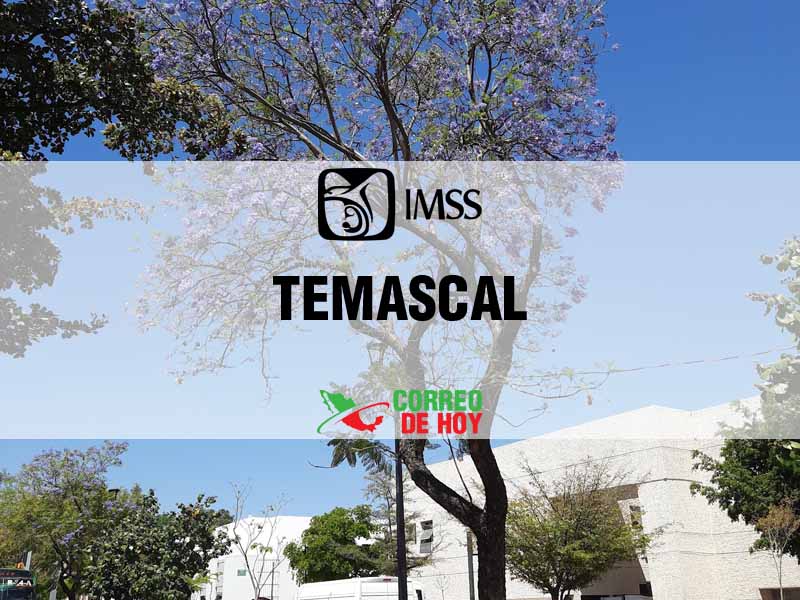 Clnicas IMSS en Temascal Oax - Telfono, Direccin y Horario de Atencin