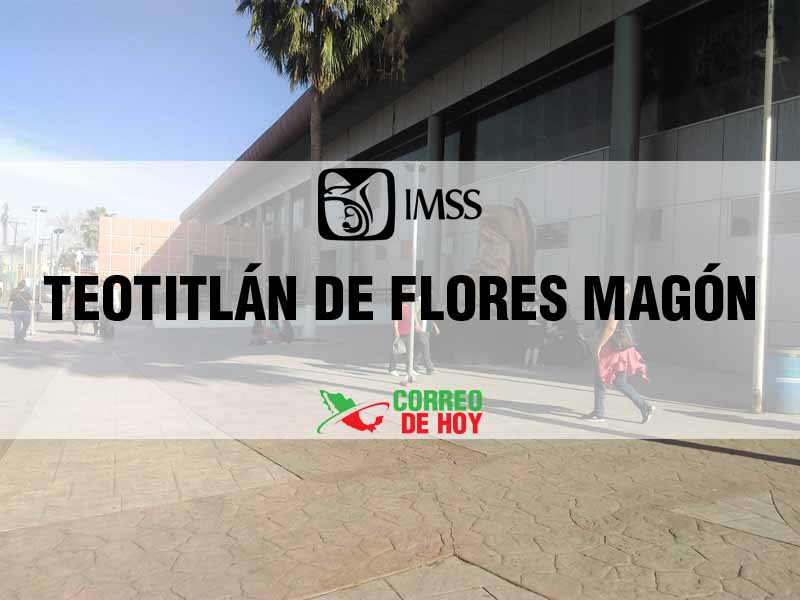 Clnicas IMSS en Teotitlán de Flores Magón Oax - Telfono, Direccin y Horario de Atencin