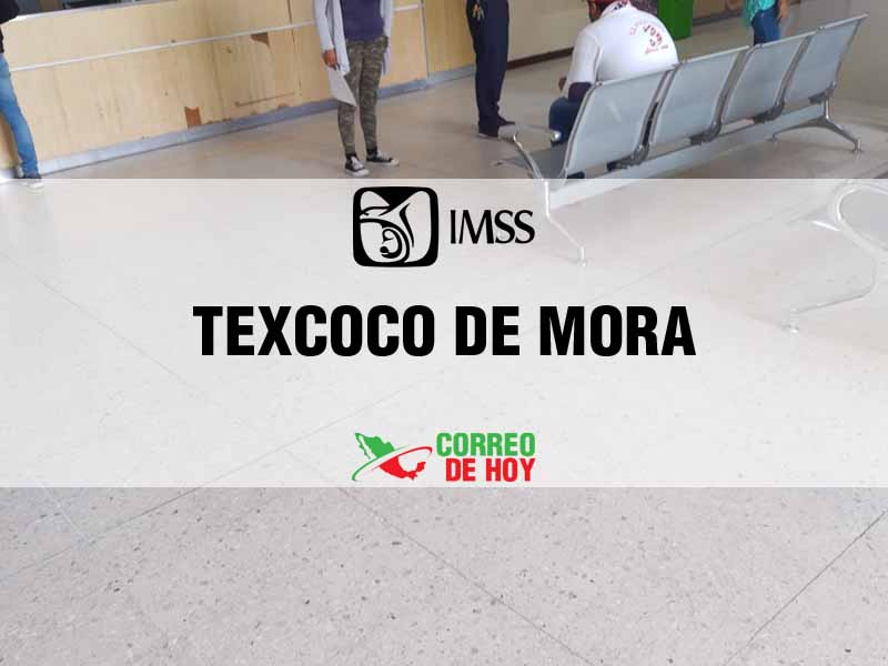 Clnicas IMSS en Texcoco de Mora EdoMex - Telfono, Direccin y Horario de Atencin