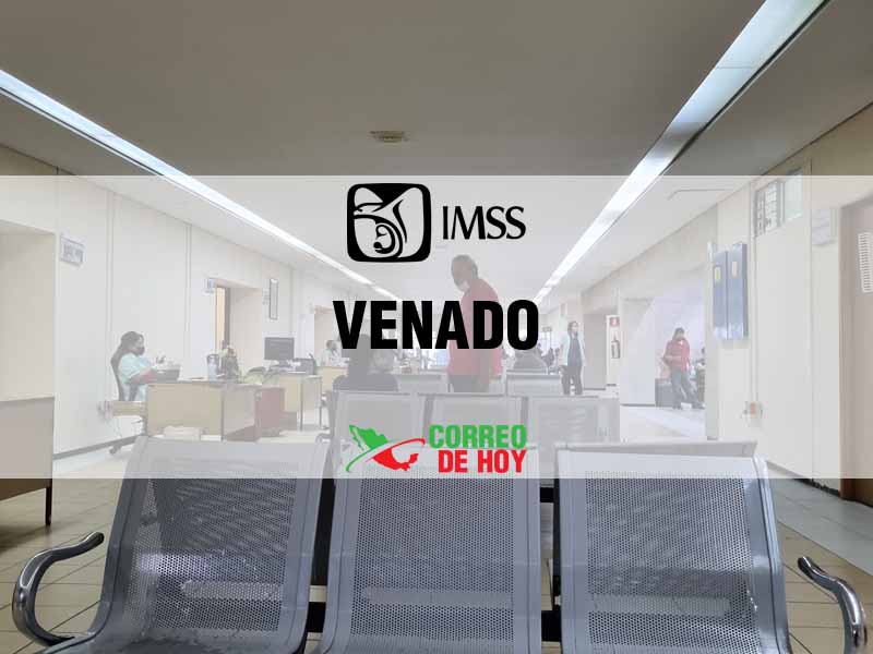 Clínicas IMSS en Venado SLP - Teléfono, Dirección y Horario de Atención