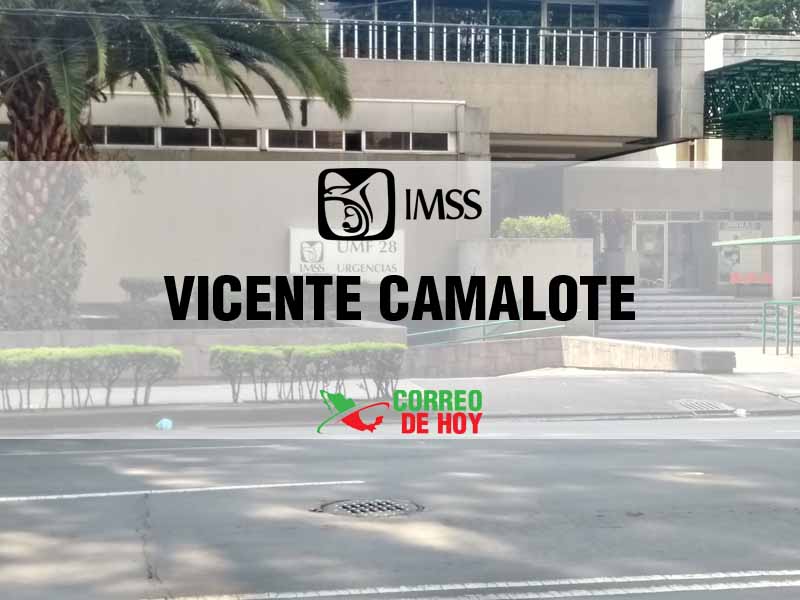 Clnicas IMSS en Vicente Camalote Oax - Telfono, Direccin y Horario de Atencin