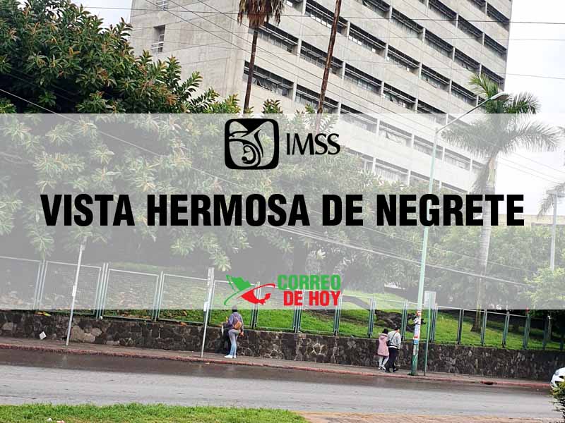 Clnicas IMSS en Vista Hermosa de Negrete Mich - Telfono, Direccin y Horario de Atencin