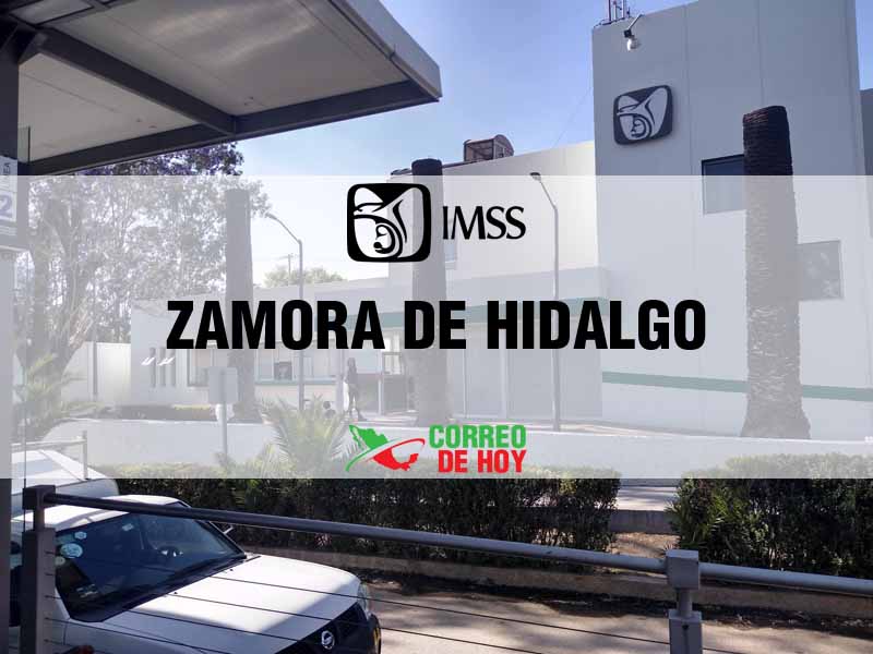 Clnicas IMSS en Zamora De Hidalgo Mich - Telfono, Direccin y Horario de Atencin