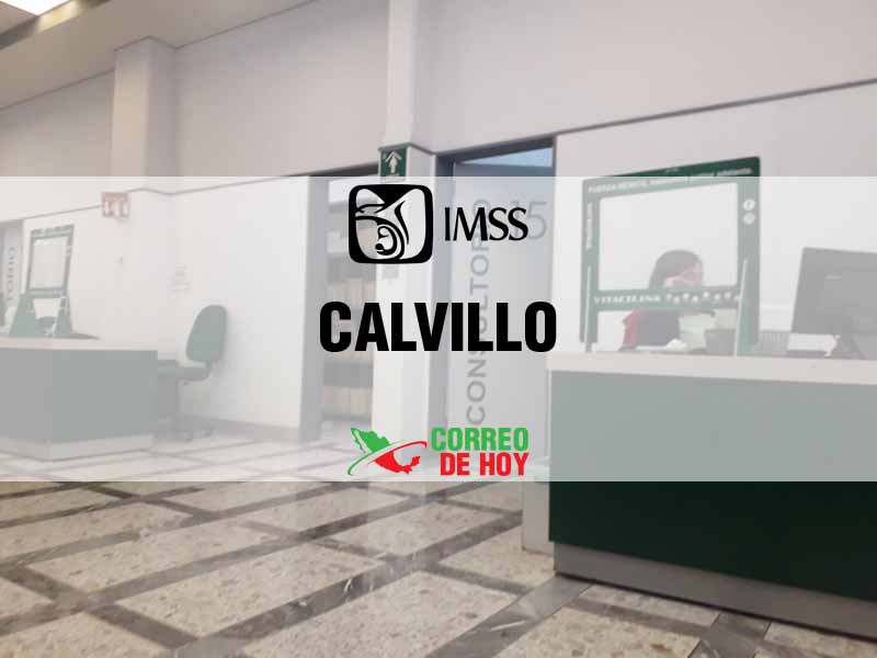 Clnicas IMSS en Calvillo Ags - Telfono, Direccin y Horario de Atencin