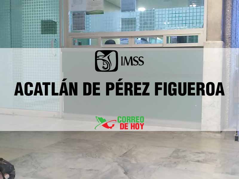 Clnicas IMSS en Acatlán De Pérez Figueroa Oax - Telfono, Direccin y Horario de Atencin