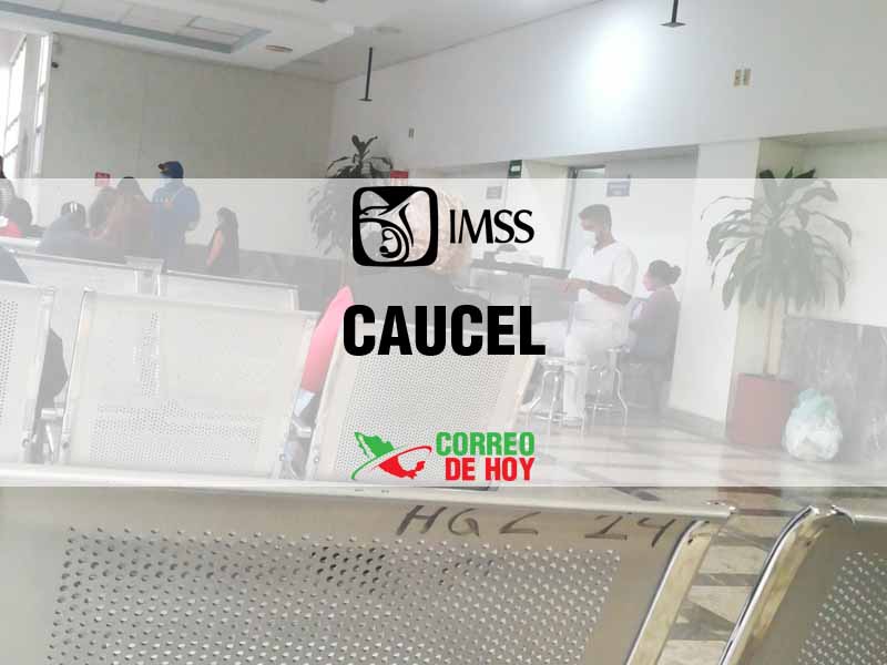 Clnicas IMSS en Caucel Yuc - Telfono, Direccin y Horario de Atencin