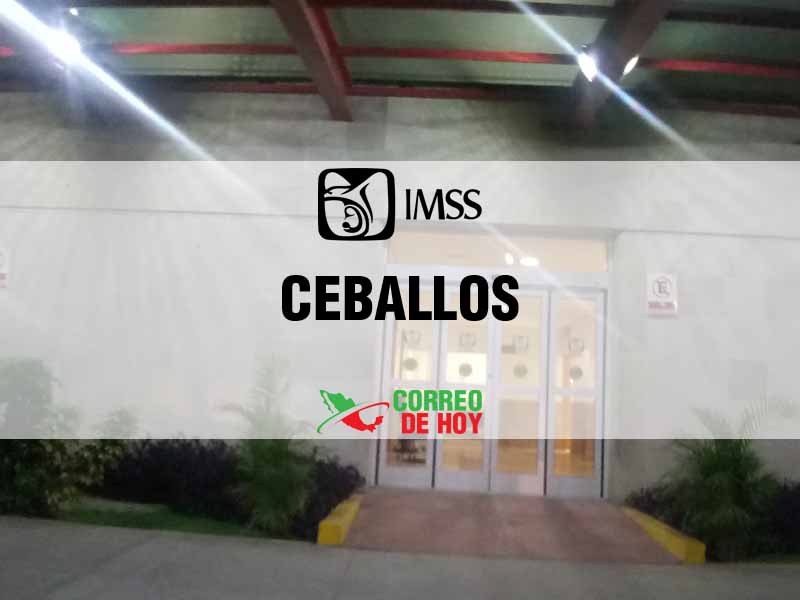 Clnicas IMSS en Ceballos Dgo - Telfono, Direccin y Horario de Atencin